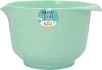 Colour Bowls Rühr- Servierschüssel 2 l türkis