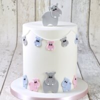 FMM Mummy & Baby Hippo Cutter Set/4