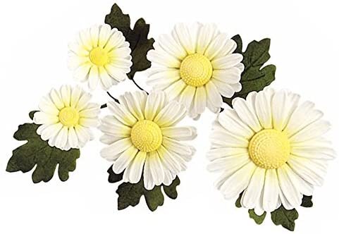 JEM Daisy Centre Stamp Set/6