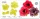 JEM Anemone Set/4