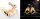Tescoma Delicia Backform Trdelnik
