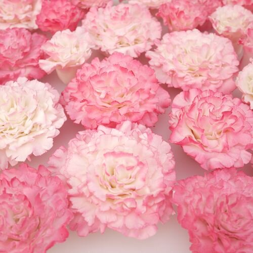 FMM Cutter Easiest Carnation Ever Set/2
