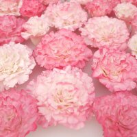 FMM Cutter Easiest Carnation Ever Set/2