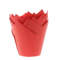 House of Marie Muffin Cups Tulip Red - pk/36