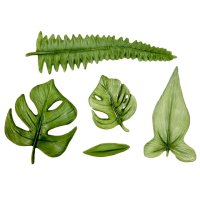 Karen Davies Silicone Mould - Tropical Leaves